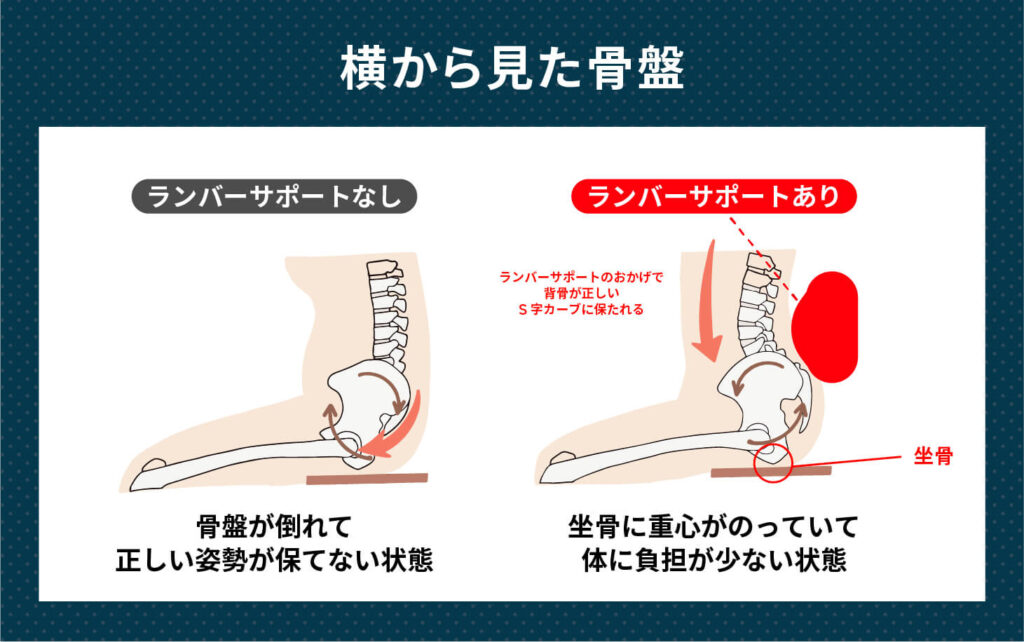 ランバーサポートがあると、骨盤を正しい向きに保たれて坐骨に重心が乗るようになり、背骨が正しいS字カーブに保たれます